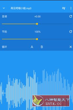 音乐速度调节器 Music Speed Changer v10.3.19-pl清爽版-壹元库