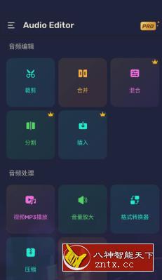 Audio Editor Pro Pro音频编辑器v1.01.37.0628专业版-壹元库