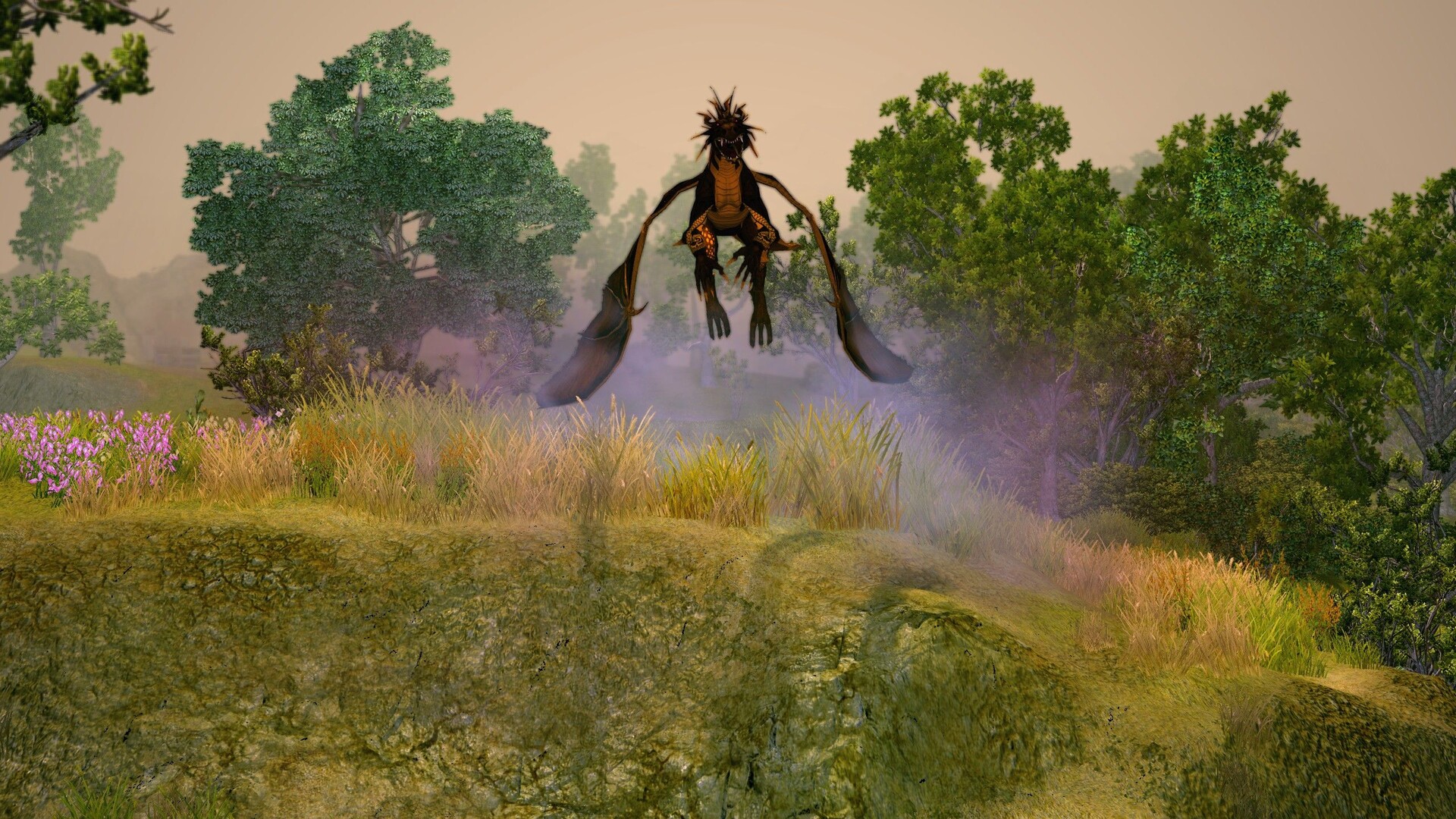 圣域2重制版：经典重生！高清画质、史诗冒险与优化体验全解析-壹元库