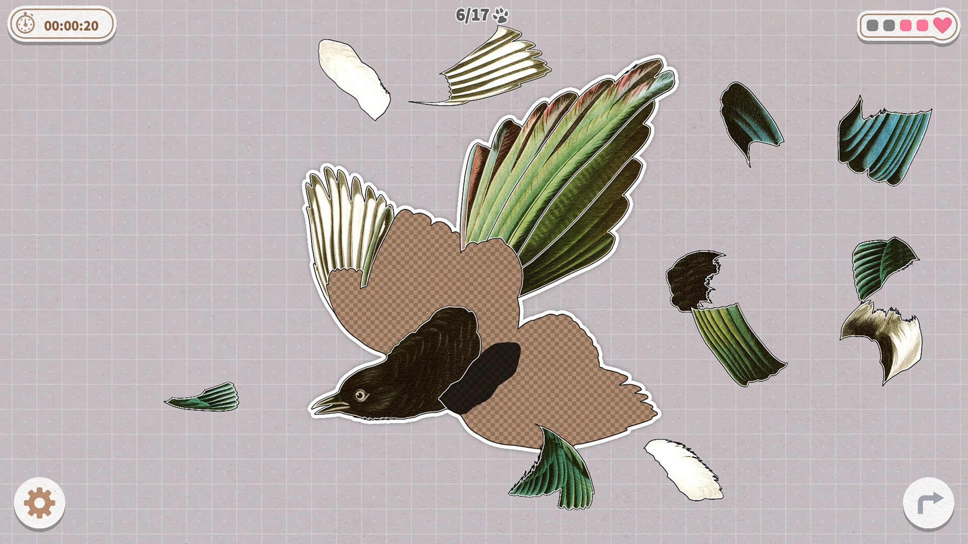 挤在一起的鸟鸟：百鸟拼图游戏 | 官方中文版下载 | 鸟类知识科普-壹元库