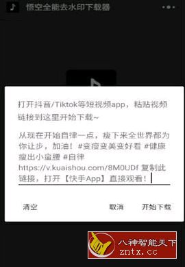 悟空全能纯净版下载器v2.5.5纯净版★大妈修改-壹元库