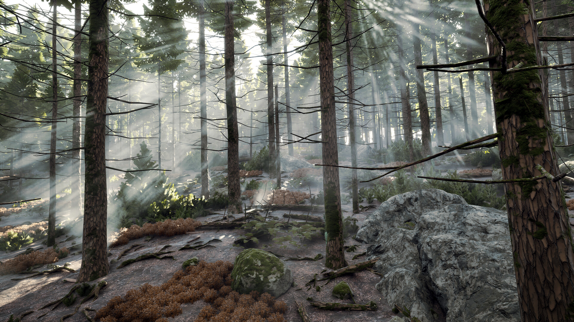 序章：重返往昔！/Prologue: Go Wayback!