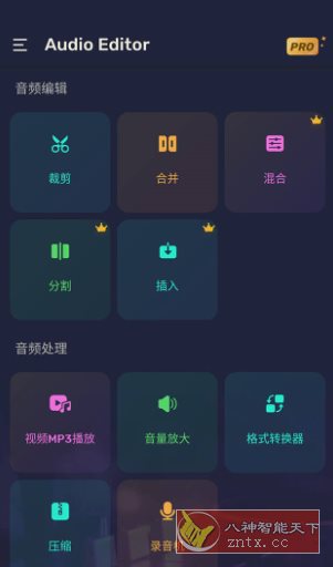 Audio Editor Pro Pro音频编辑器v1.01.72.0623专业版-壹元库