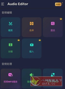 Audio Editor Pro 专业音频编辑器v1.01.49.0717高级版-壹元库
