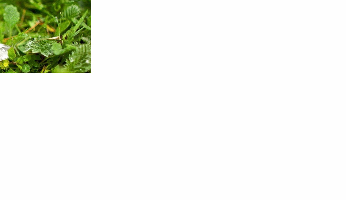 抖音热门很火的表白整蛊源码-壹元库