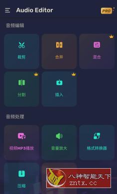 Audio Editor Pro 音频编辑器v1.01.27.0112专业版-壹元库