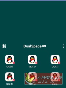 DualSpace Pro 轻松多开v2.2.9专业版-壹元库