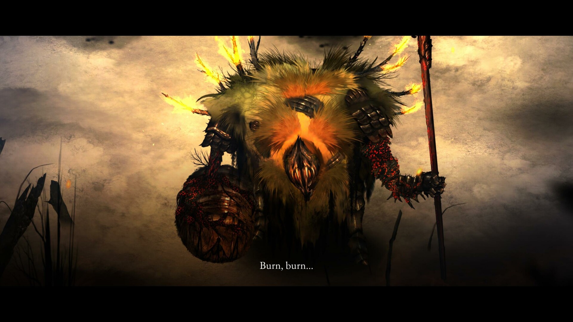 永恒秩序/Perennial Order 永恒秩序/Perennial Order