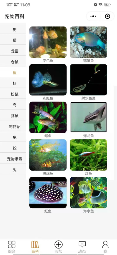 开源宠物社区微信小程序源码:功能模块详解与快速部署指南-壹元库