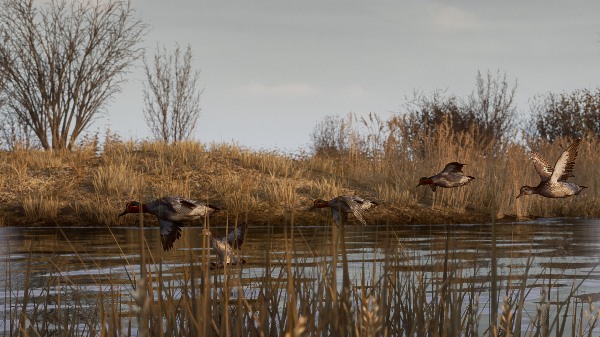 BULT: Hunting Simulator - 最逼真的水禽狩猎游戏体验 | 布置诱饵、驾驶小船、追踪猎物-壹元库