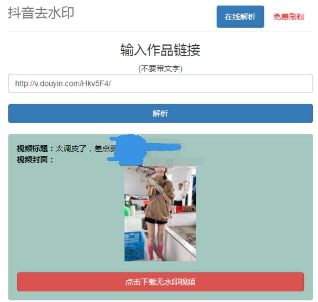 抖音在线去水印网站PHP源码-壹元库