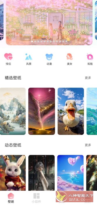 91熊猫桌面主题v1.0.6高级版-壹元库