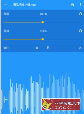 音乐速度调节器 Music Speed Changer v8.8.6 免费清爽版-壹元库
