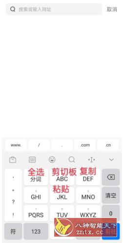 讯飞输入法8.3.8503 OPPO定制版-壹元库